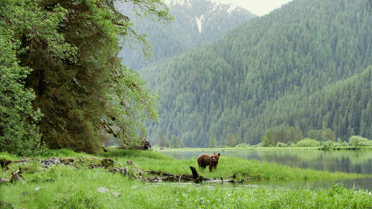 Great Bear Rainforest & Chilcotin Circle Route