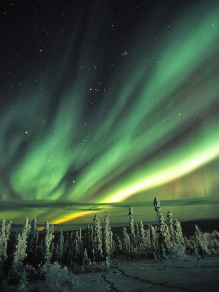 Aurora/Northern Lights in shades of green overtop of snowy trees and landscape. Yukon Territory.