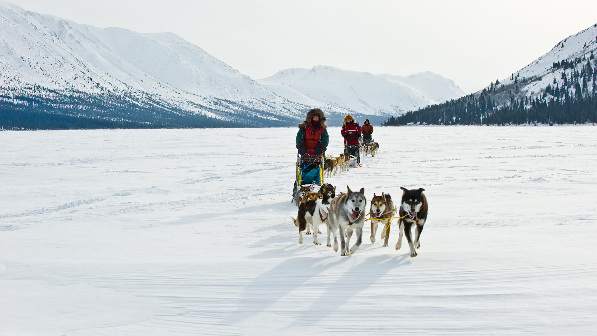 Winter activities in the Yukon include dogsledding, shown here on a frozen lake with multiple sleds and dogs, and mountains in the background.