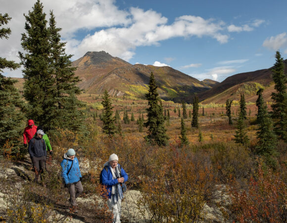 Yukon Explorer