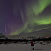 Aurora and person, Annie lake area, Yukon