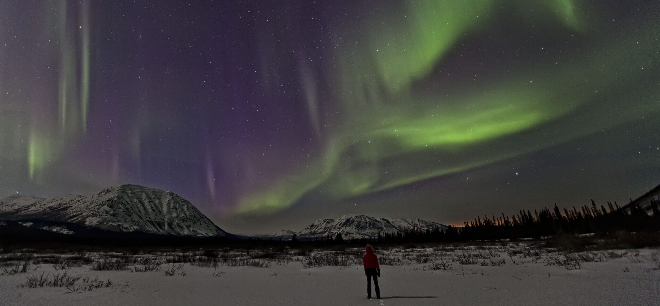 Aurora and person, Annie lake area, Yukon