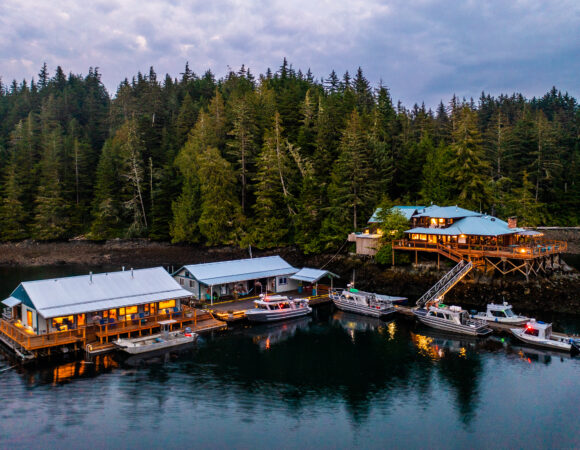 Farewell Harbour Lodge