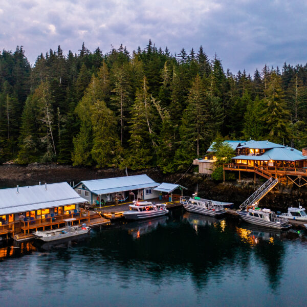 Farewell Harbour Lodge